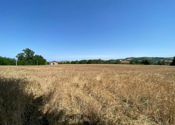 Foto 4 - Terreno edificabile via san filippo, Magliano di Tenna - foto 4