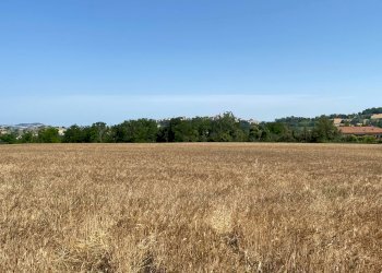 Foto 5 - Terreno edificabile via san filippo, Magliano di Tenna - foto 5