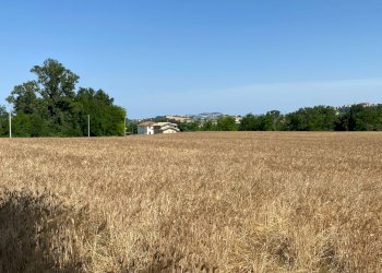 Foto 6 - Terreno edificabile via san filippo, Magliano di Tenna - foto 6