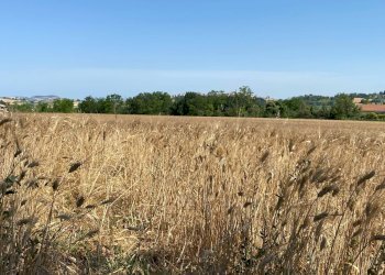 Foto 7 - Terreno edificabile via san filippo, Magliano di Tenna - foto 7