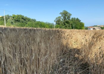 Foto 8 - Terreno edificabile via san filippo, Magliano di Tenna - foto 8