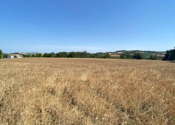 Foto 11 - Terreno edificabile via san filippo, Magliano di Tenna - foto 11