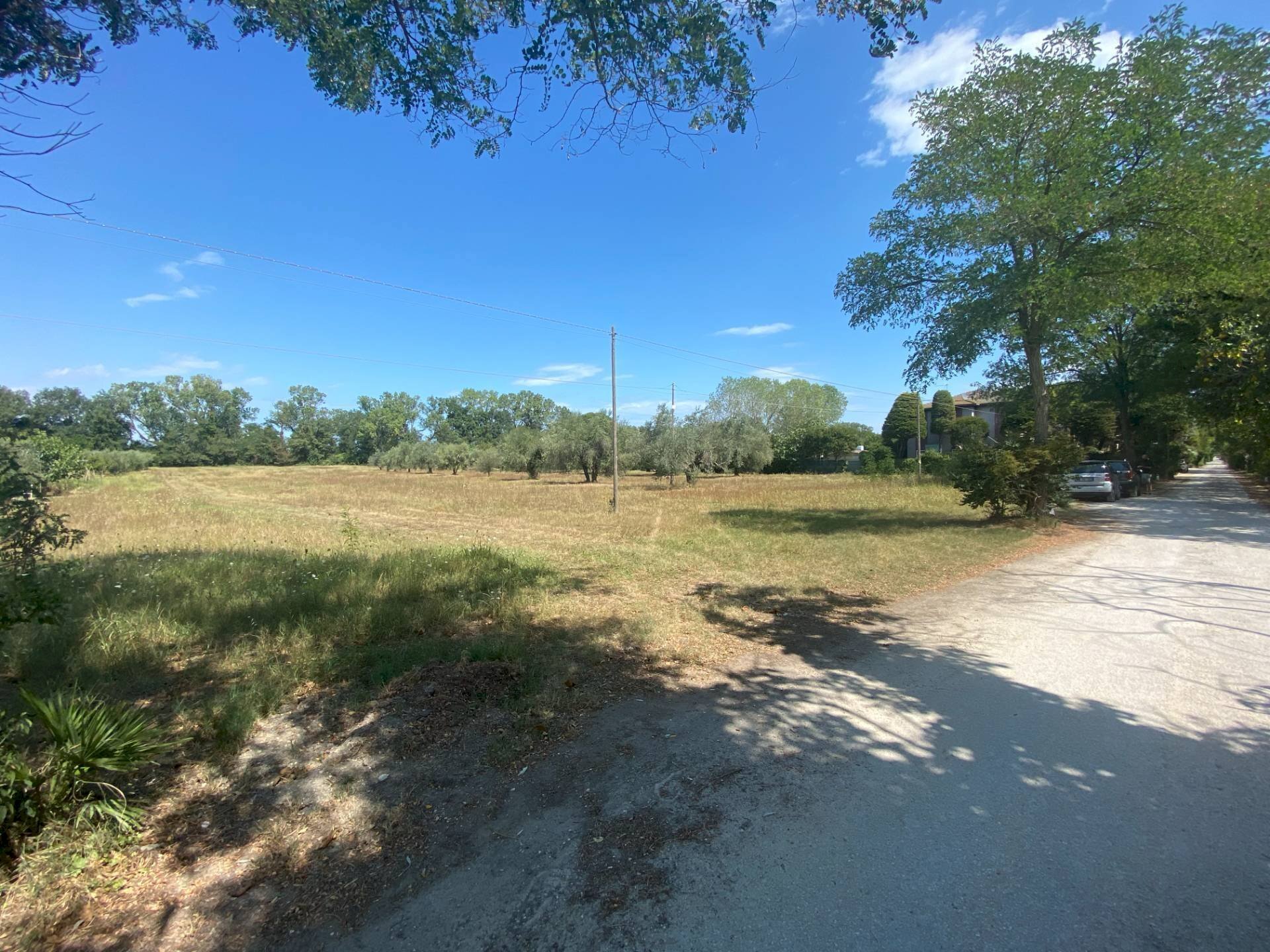 Foto 2 - Agricultural land strada provinciale paludi, Fermo - photo 2