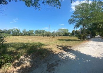 Foto 2 - Terreno agricolo strada provinciale paludi, Fermo - foto 2