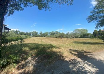 Foto 4 - Terreno agricolo strada provinciale paludi, Fermo - foto 4