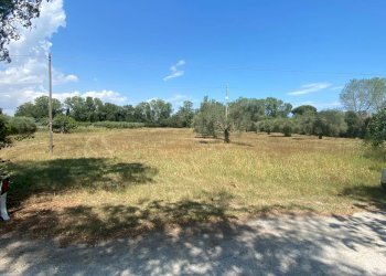 Foto 6 - Terreno agricolo strada provinciale paludi, Fermo - foto 6