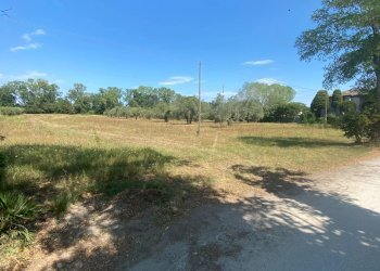 Foto 7 - Terreno agricolo strada provinciale paludi, Fermo - foto 7