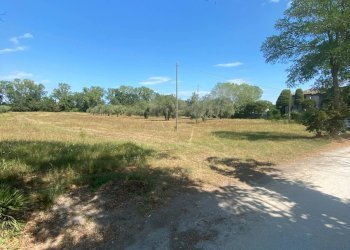 Foto 8 - Terreno agricolo strada provinciale paludi, Fermo - foto 8