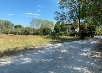 Foto 9 - Terreno agricolo strada provinciale paludi, Fermo - foto 9