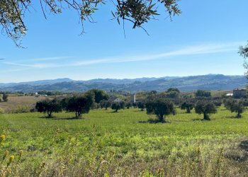 Foto 21 - Independent house contrada castagneto, Montegiorgio - photo 21