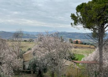 Foto 35 - Independent house contrada castagneto, Montegiorgio - photo 35