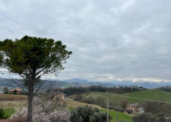 Foto 36 - Independent house contrada castagneto, Montegiorgio - photo 36