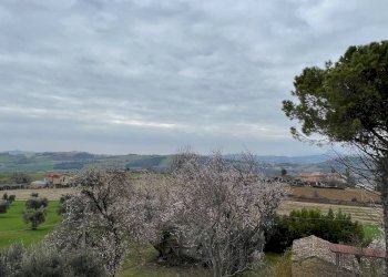 Foto 37 - Independent house contrada castagneto, Montegiorgio - photo 37