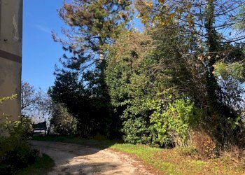 Foto 18 - Casa semi indipendente contrada santa maria, Montelparo - foto 18