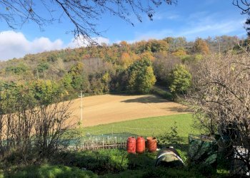 Foto 19 - Casa semi indipendente contrada santa maria, Montelparo - foto 19