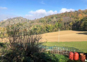 Foto 20 - Casa semi indipendente contrada santa maria, Montelparo - foto 20