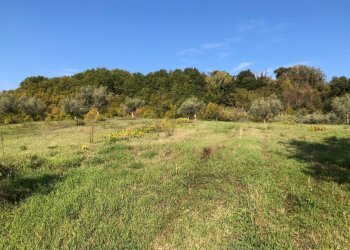 Foto 23 - Independent house strada provinciale, Falerone - photo 23