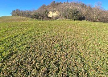 Foto 14 - Independent house contrada Monte Verde, Montegiorgio - photo 14