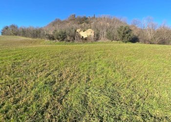 Foto 15 - Independent house contrada Monte Verde, Montegiorgio - photo 15