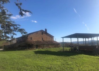 Foto 7 - Casa indipendente contrada vignali bagnare
 
39, Loro Piceno - foto 7