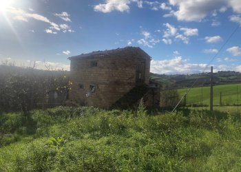 Foto 11 - Casa indipendente contrada vignali bagnare
 
39, Loro Piceno - foto 11