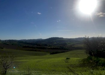 Foto 17 - Casa indipendente contrada vignali bagnare
 
39, Loro Piceno - foto 17