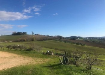 Foto 18 - Casa indipendente contrada vignali bagnare
 
39, Loro Piceno - foto 18