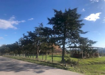 Foto 20 - Casa indipendente contrada vignali bagnare
 
39, Loro Piceno - foto 20