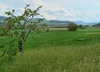 Foto 6 - Casa semi indipendente via Volpi, Falerone - foto 6