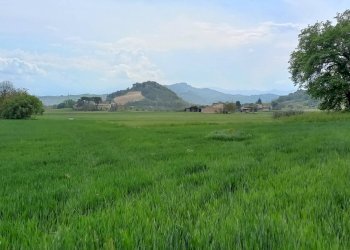 Foto 7 - Casa semi indipendente via Volpi, Falerone - foto 7