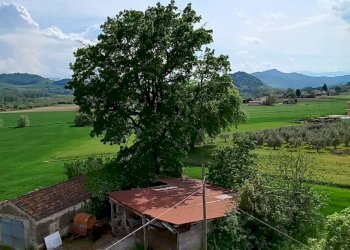 Foto 25 - Casa semi indipendente via Volpi, Falerone - foto 25