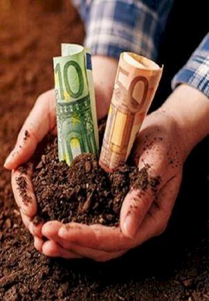 Foto 1 - Terreno agricolo Montelparo - foto 1