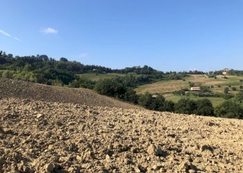 Foto 3 - Terreno agricolo Montelparo - foto 3