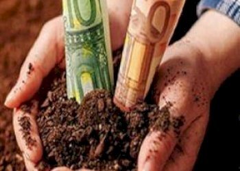 Foto 1 - Terreno agricolo localita san ruffino, Massa Fermana - foto 1