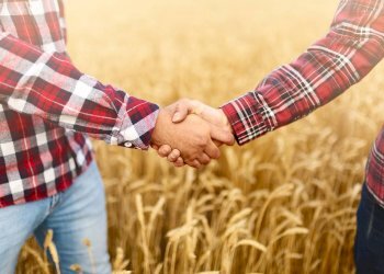 Foto 2 - Terreno agricolo localita san ruffino, Massa Fermana - foto 2