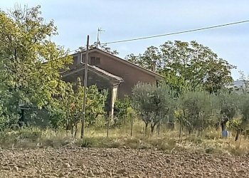 Foto 18 - Independent house san Filippo
 
7, Servigliano - photo 18