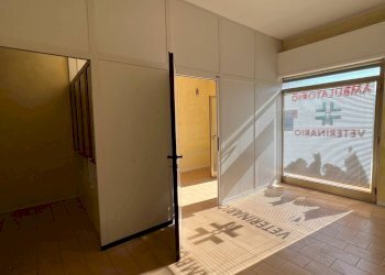 Foto 2 - Attività Commerciale via W. Von Broun, Montegiorgio - foto 2