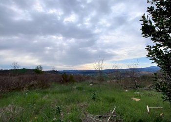 Foto 29 - Casa indipendente contrada san pietro, Monte Vidon Corrado - foto 29