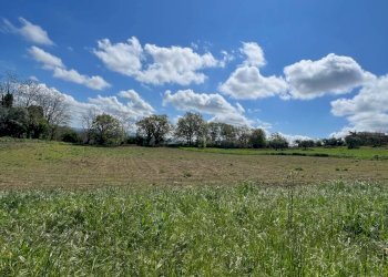 Foto 9 - Independent house Contrada Santa Susanna, Montegiorgio - photo 9