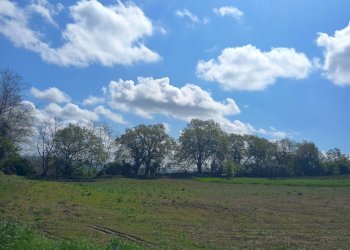 Foto 10 - Independent house Contrada Santa Susanna, Montegiorgio - photo 10