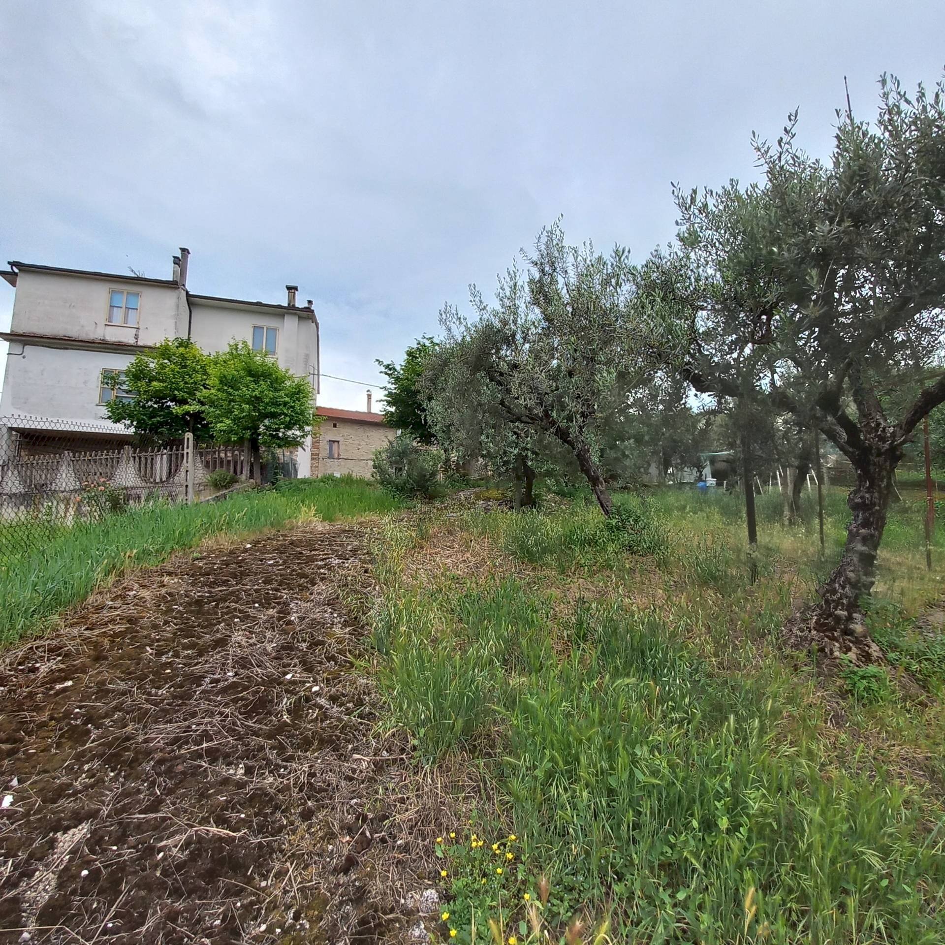 Foto 3 - Casa indipendente via san giuseppe
12, Massa Fermana - foto 3