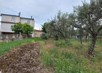 Foto 3 - Casa indipendente via san giuseppe
 
12, Massa Fermana - foto 3