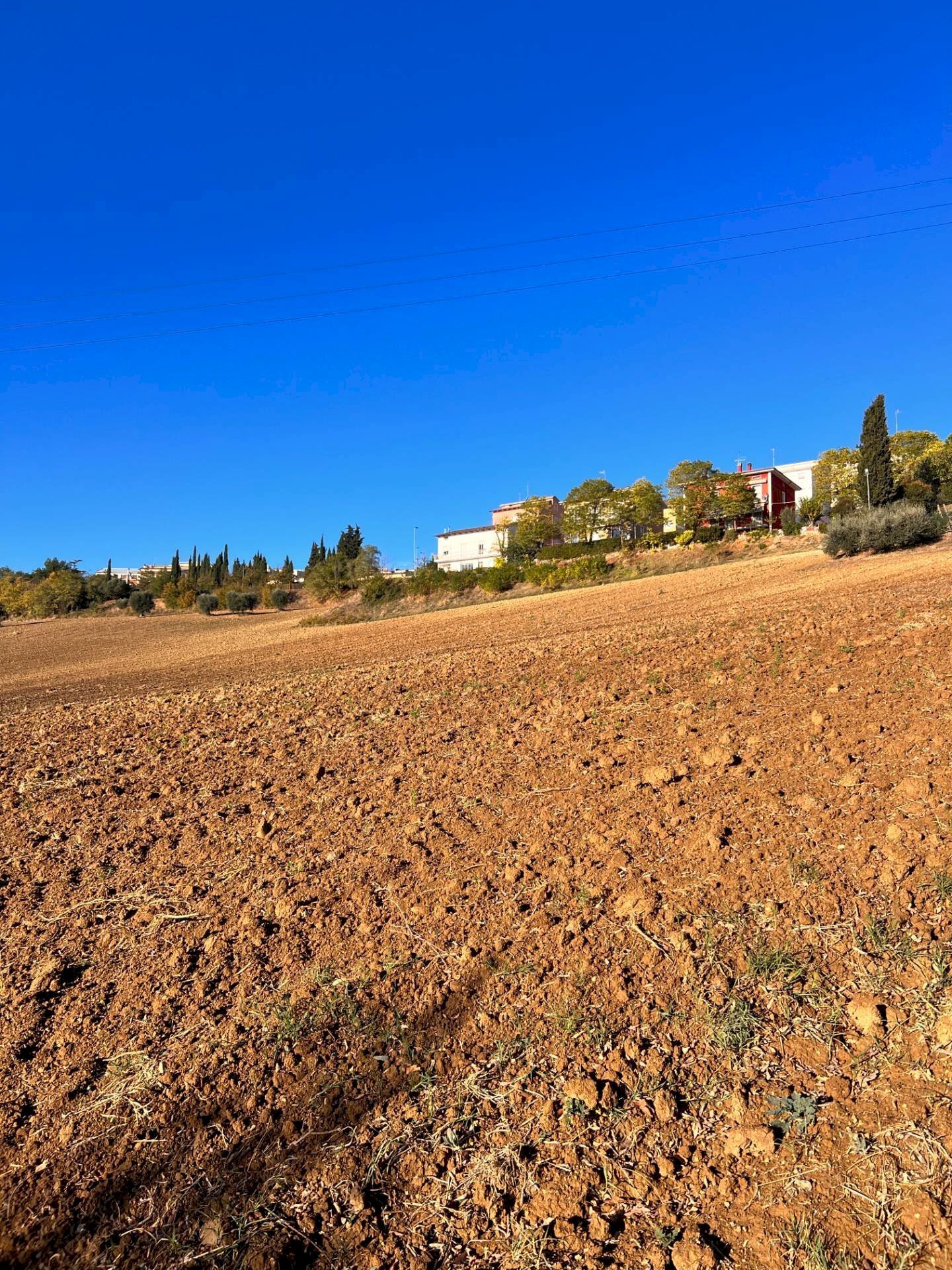 Foto 1 - Terreno agricolo via marchesi, Monte Urano - foto 1