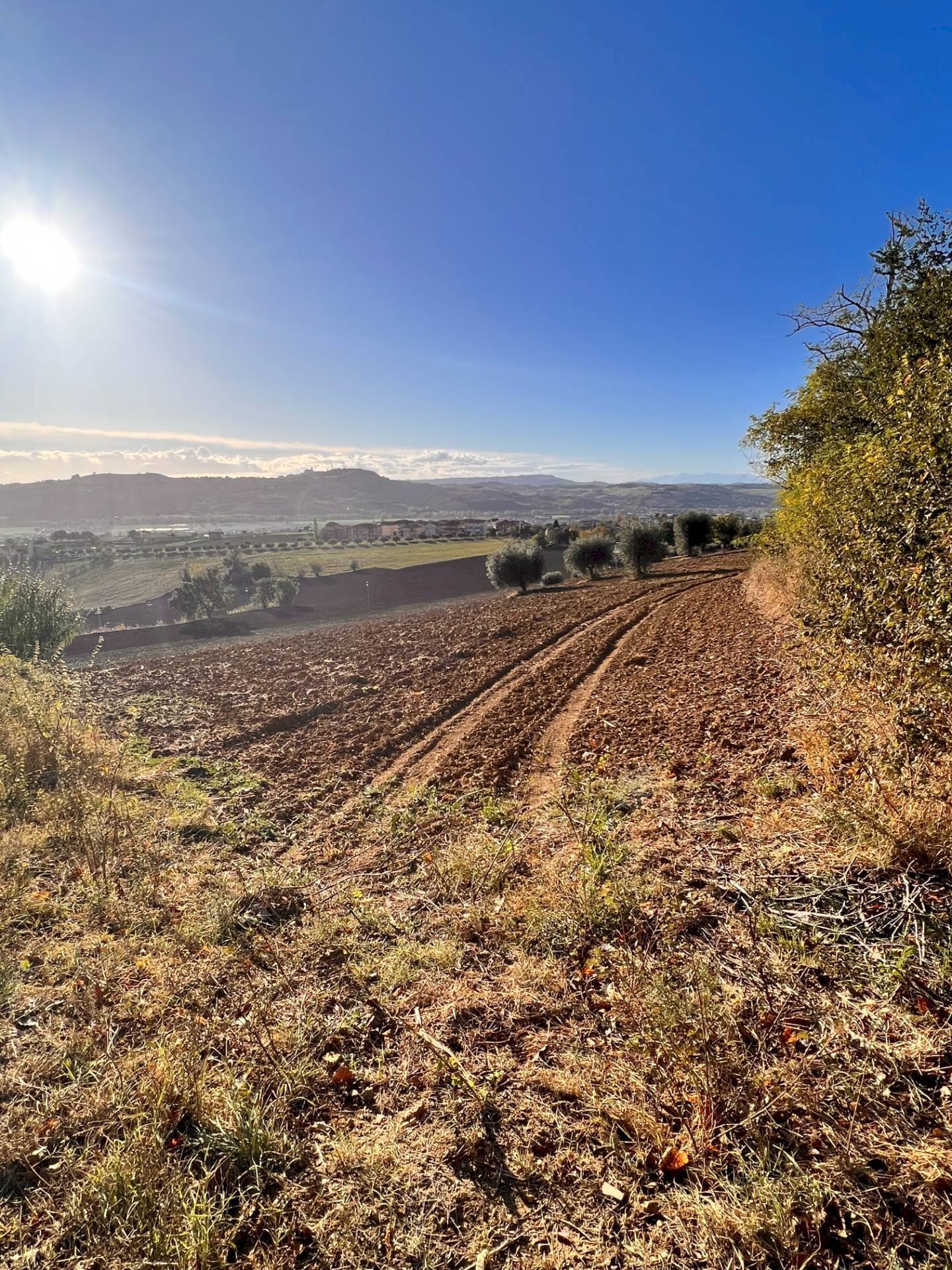 Foto 3 - Terreno agricolo via marchesi, Monte Urano - foto 3