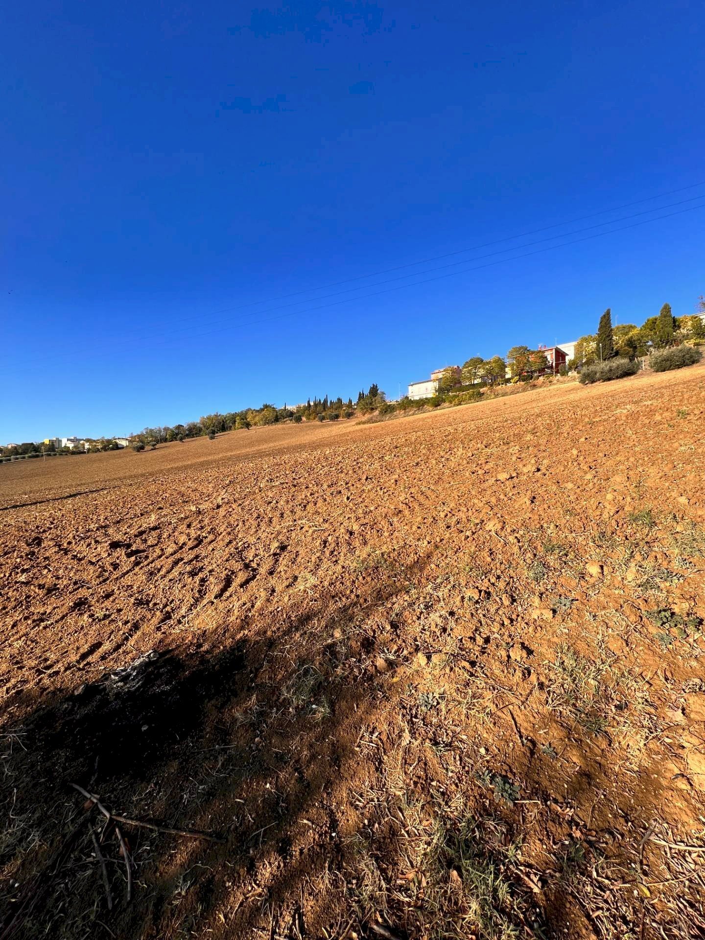Foto 1 - Terreno agricolo via marchesi, Monte Urano - foto 1