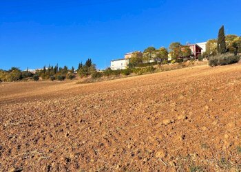 Foto 1 - Agricultural land via marchesi, Monte Urano - photo 1