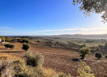 Foto 2 - Agricultural land via marchesi, Monte Urano - photo 2