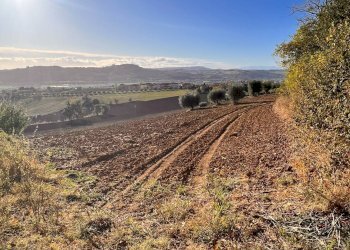 Foto 3 - Agricultural land via marchesi, Monte Urano - photo 3