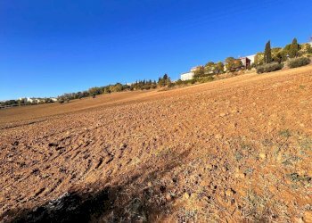 Foto 5 - Agricultural land via marchesi, Monte Urano - photo 5