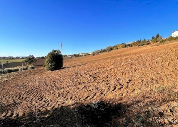 Foto 6 - Agricultural land via marchesi, Monte Urano - photo 6